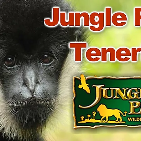 Hotel La Santa Cruz de Tenerife