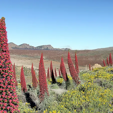 Hotel La Santa Cruz de Tenerife