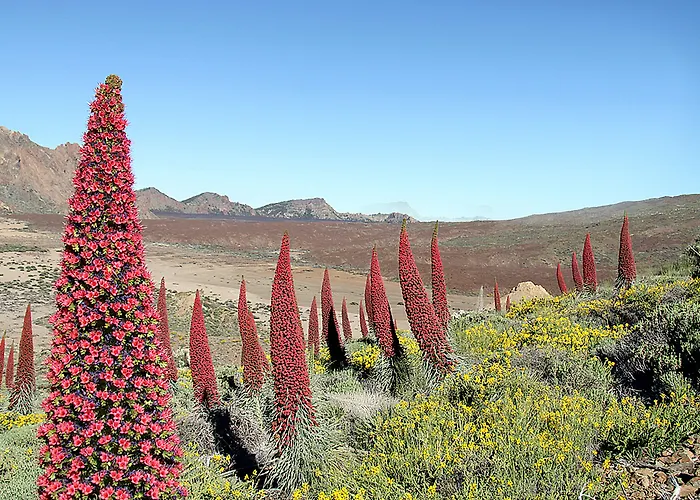 Szálloda La Santa Cruz de Tenerife