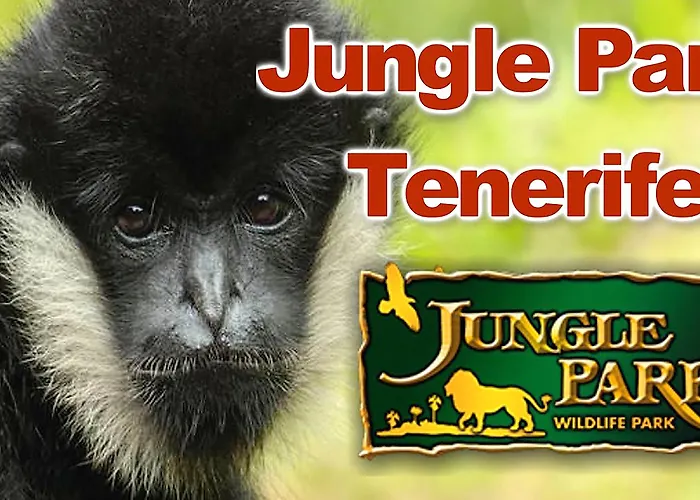 Hotel La Santa Cruz de Tenerife